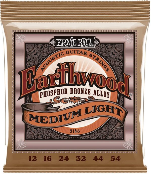 Ernie Ball Earthwood Phosphor Bronze Acoustic 12-54