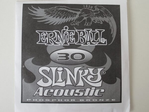Ernie Ball .030 Earthwood Phosphor Bronze Single (M6)
