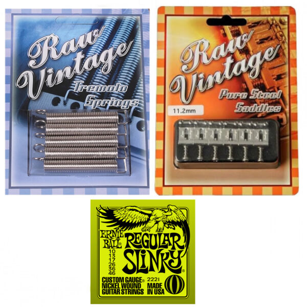 RAW VINTAGE RVTS-1 Springs + RVS-112 Saddles + Ernie Ball Strings